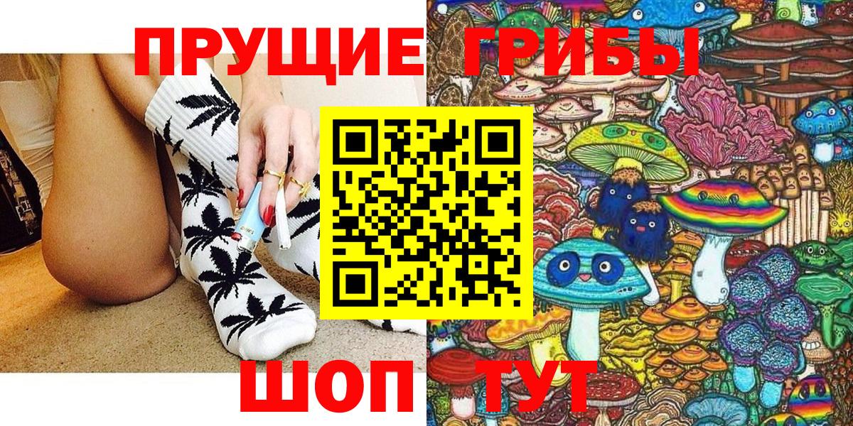 Бошки Шишки Гатчина