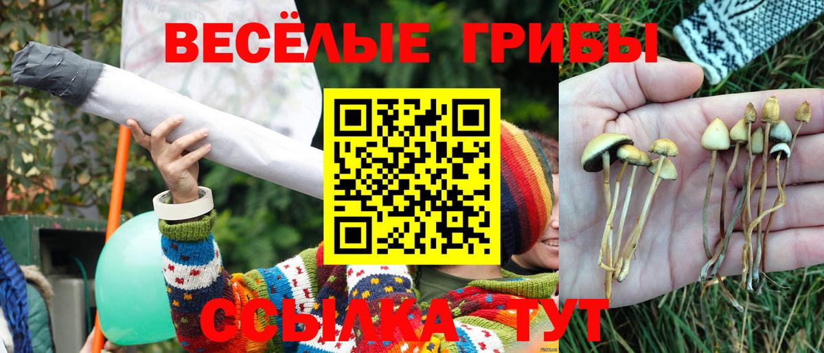 Галлюциногенные грибы мухоморы Гатчина